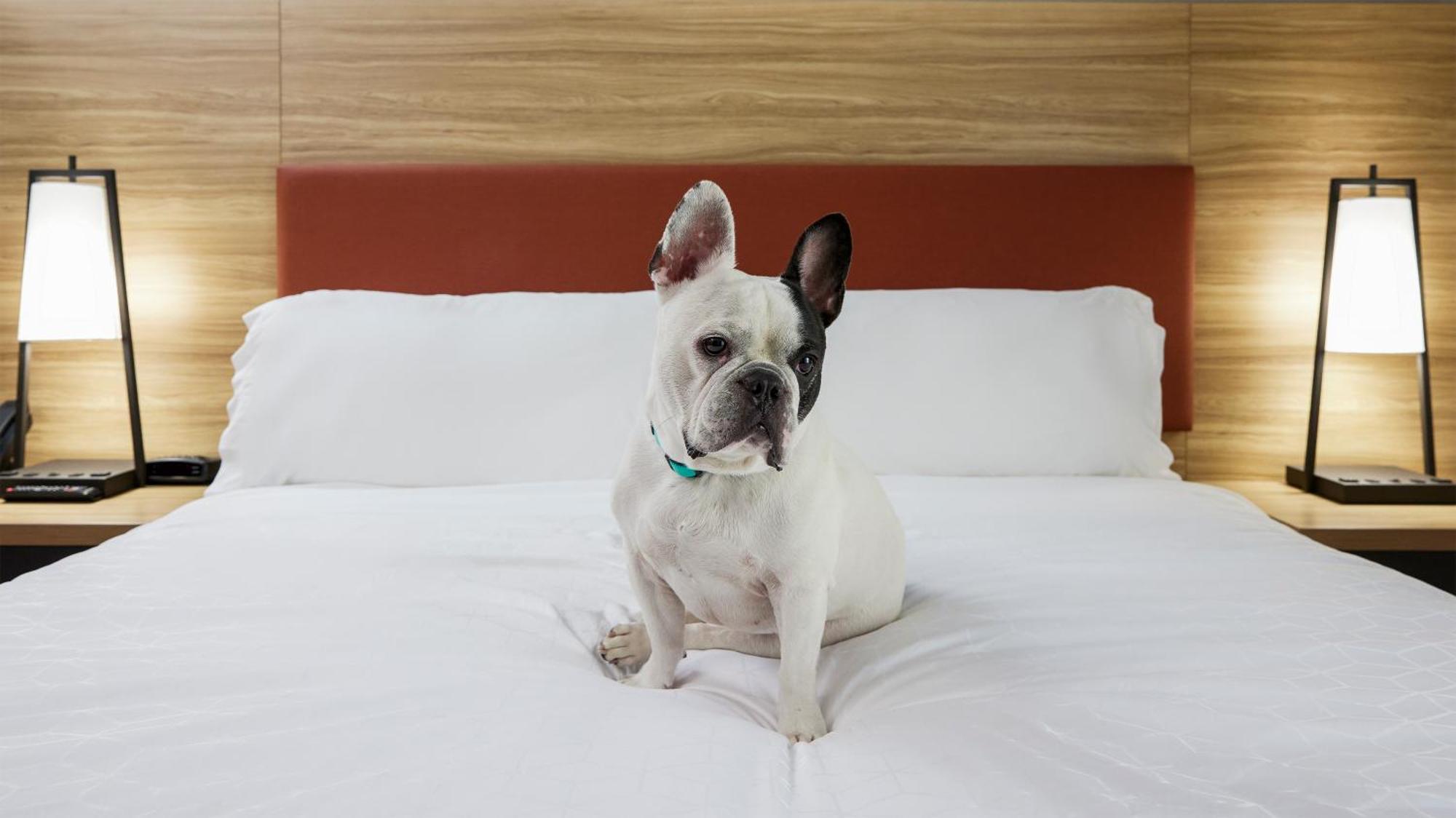 Candlewood Suites Junction City - Ft. Riley By Ihg Exteriér fotografie